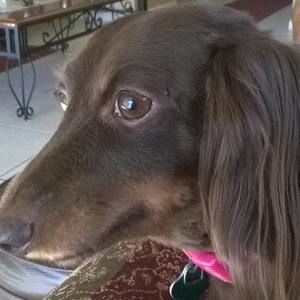 Meet your Posher, Ruthie